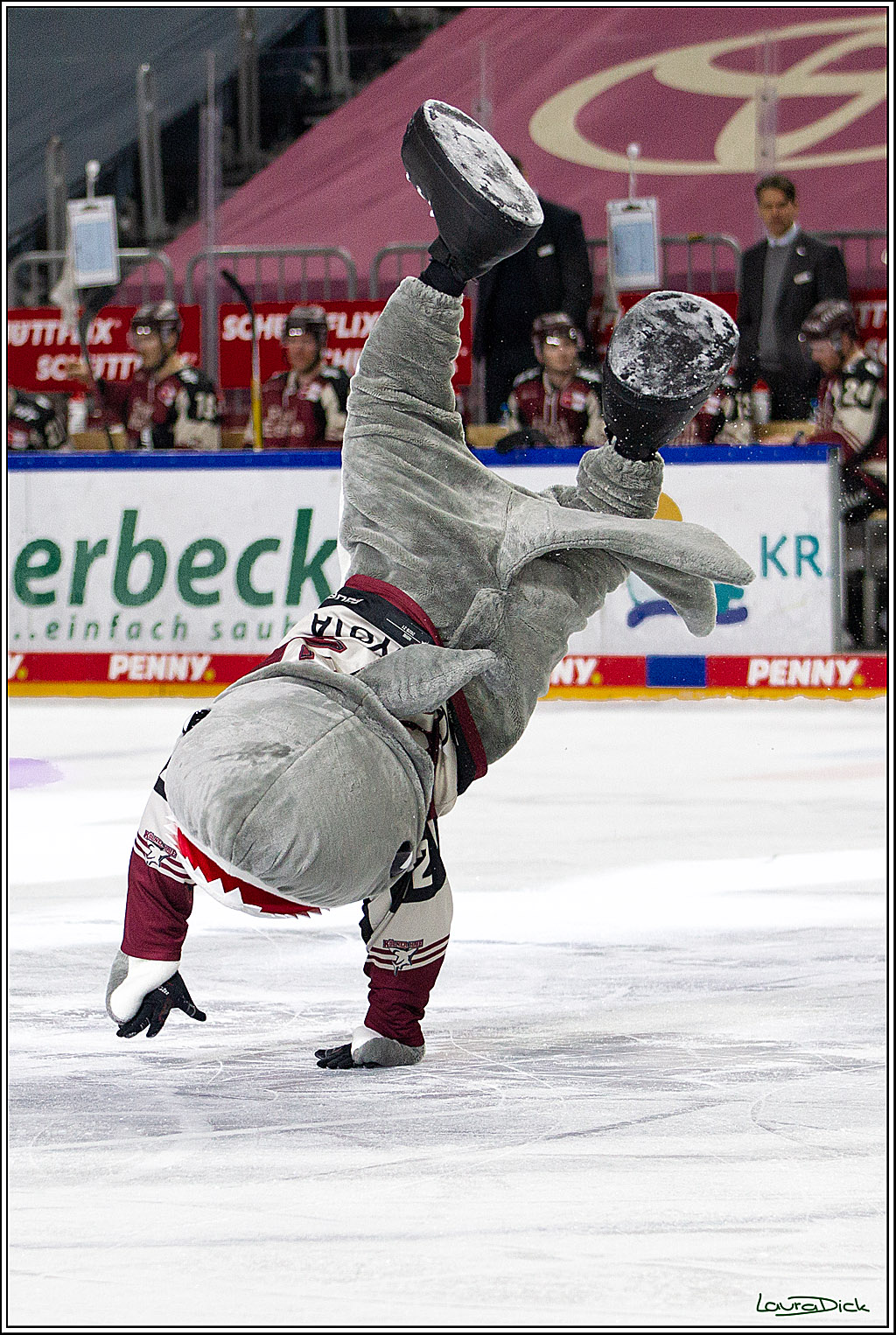 PENNY DEL;  Koelner Haie - Augsburger Panther; Koeln, 05.04.2021